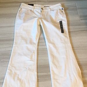 Premium flare white jeans NWT